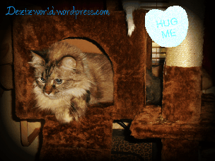 0dww Dezi hug me tree