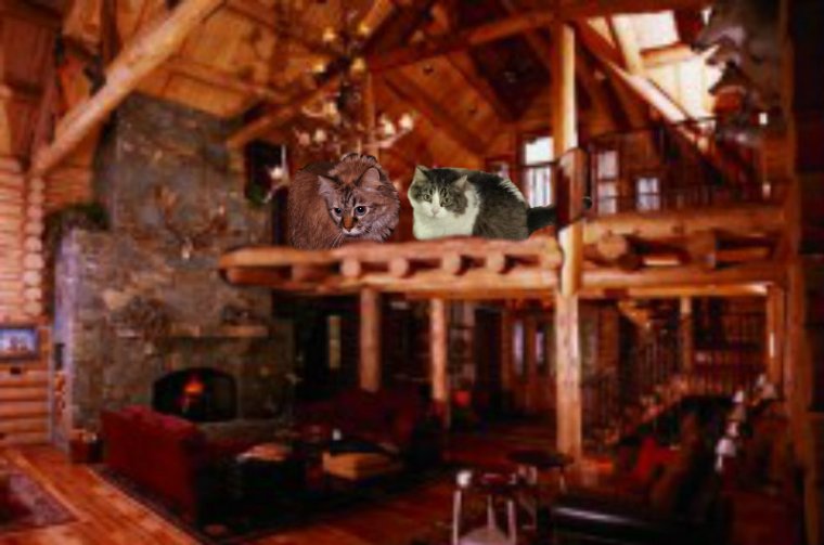 Here's me and Andy at da bayou lodge where where we all stayed  last night. Sum of da scouts camped in tents, but Andy and me stayed in da lodge. (seperate tooms of course.) Meez not dat kinda ladycat.  