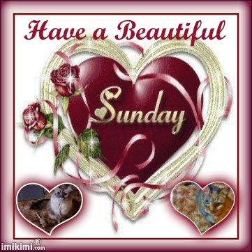 BEAUTIFUL SUNDAYLexi,Dezi 