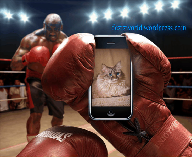 Tudays foto is just fur fun. 