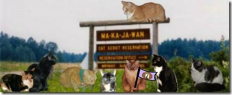 _ww group shot w flag