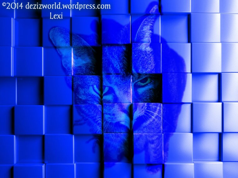 I'z dun bin basket weaved. WTC (what da cat)