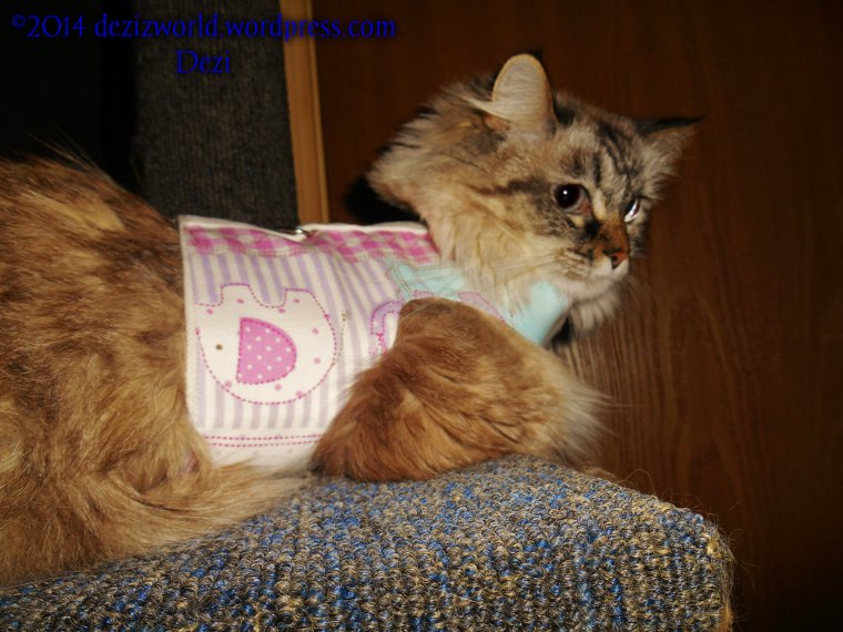 Meez lookin' out fur mommy.