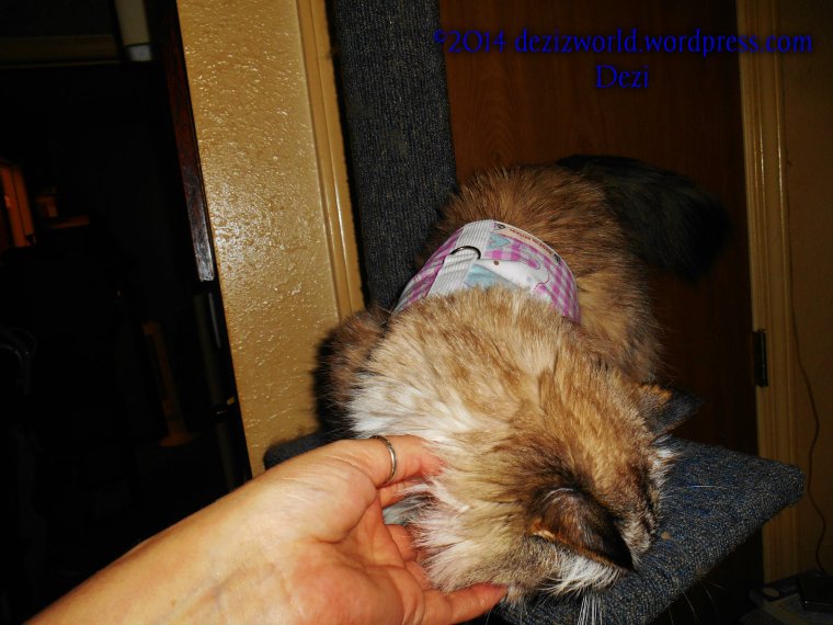 Mommy suwe duz luv me, and me luvs her.