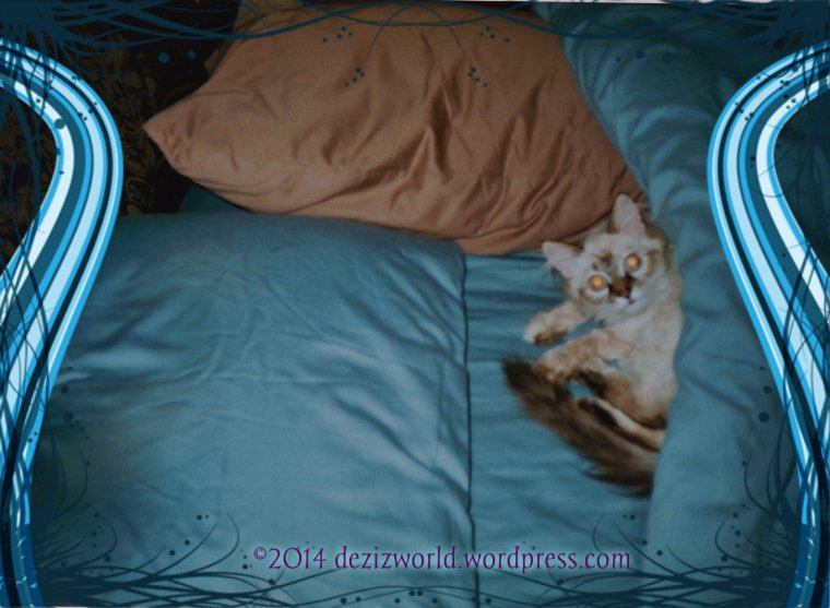 Me wuz still a little tyke back when me wuz learnin' to dwive.