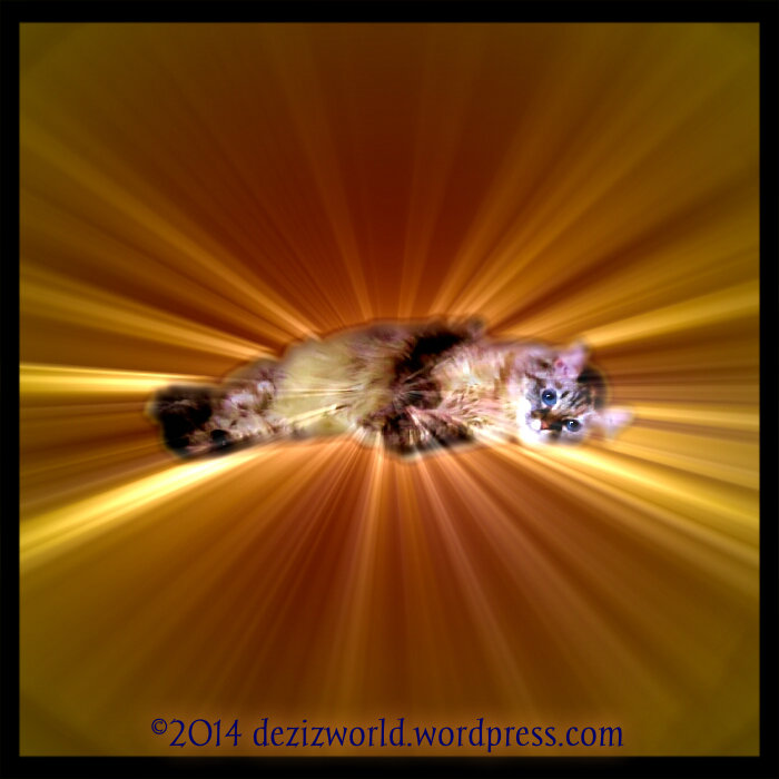 OMC meez got  golden rays shinin'out evewy where.