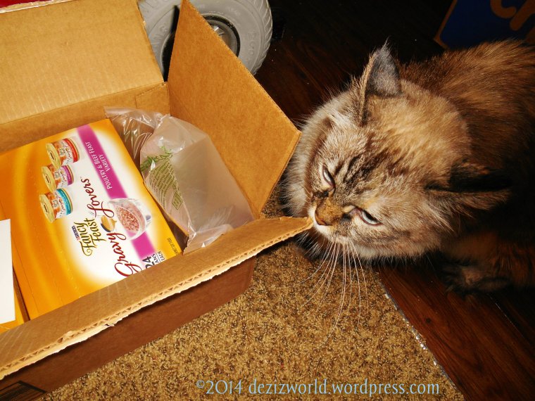 Fank yous so vewy much Cat Scouts Headquarters.