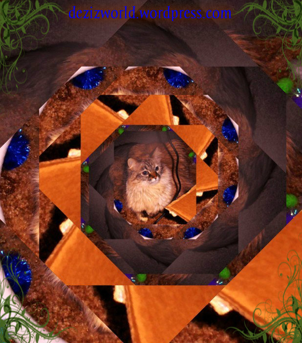 Just a little foto fun fur ya'.