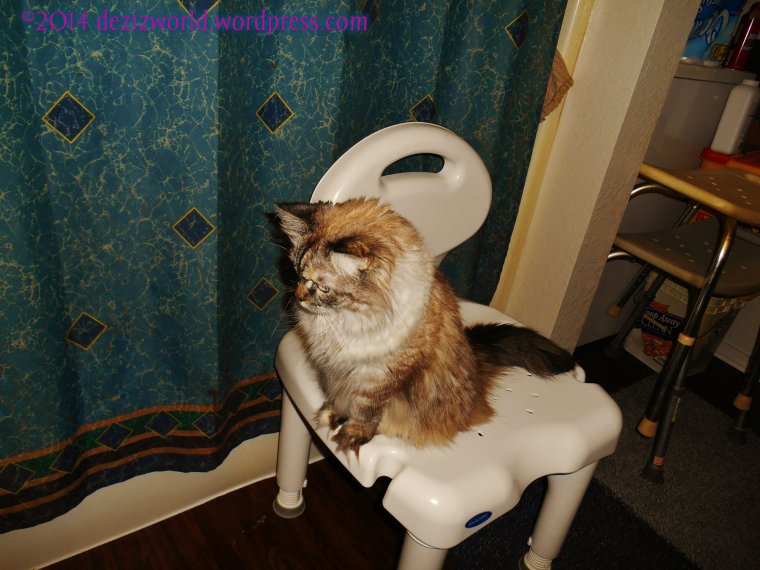 FANK YOUS SO VEWY MUCH!!!