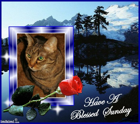 Blessed Sunday, Lexi - 2HEoW-15Y - normal