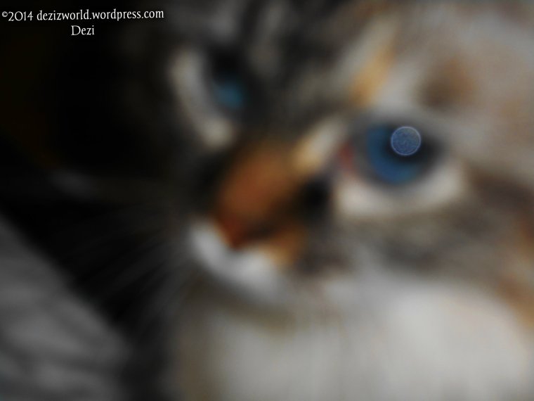 Meez wuz deep in fawt missin' sweet Andy.