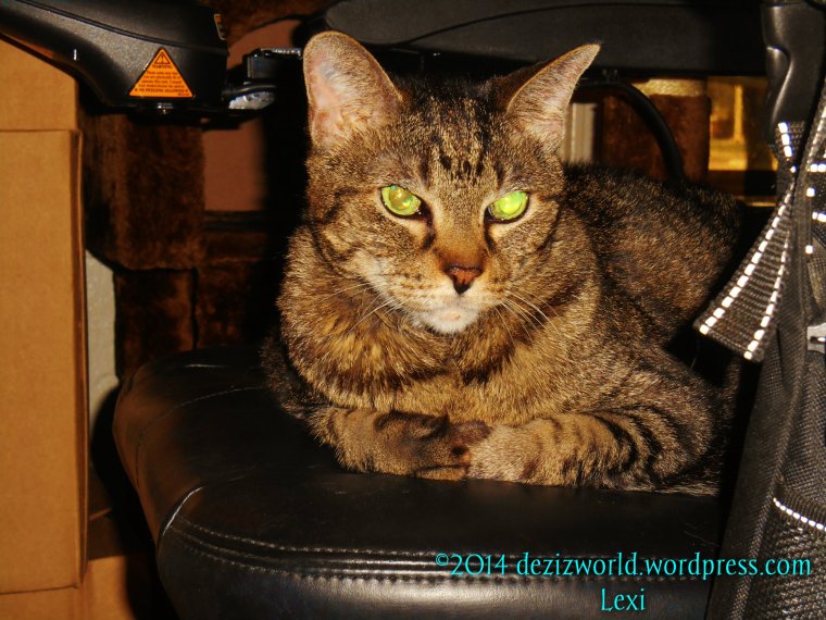 I'z gunna lay here while mommy unpacks a little.