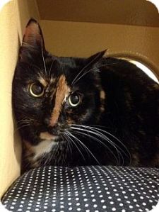 Paw da foto to read mowe 'bout Garielle.