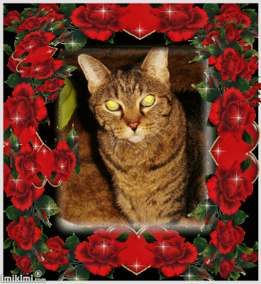 Yez weez lubz awl ow furiendz/framly.