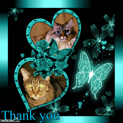 Thanks D&L - 2HEoW-1cr - normal