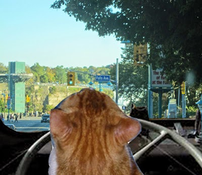 000-027-Bus-Driver-Sammy-at