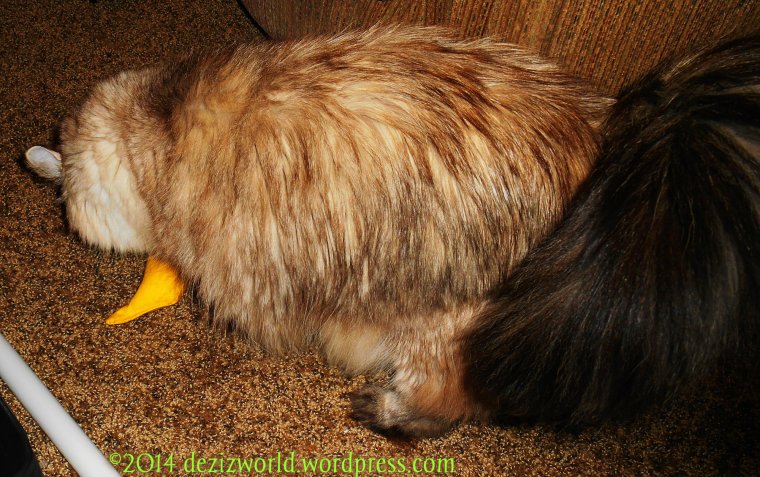 0dw Dezi and nip nanana