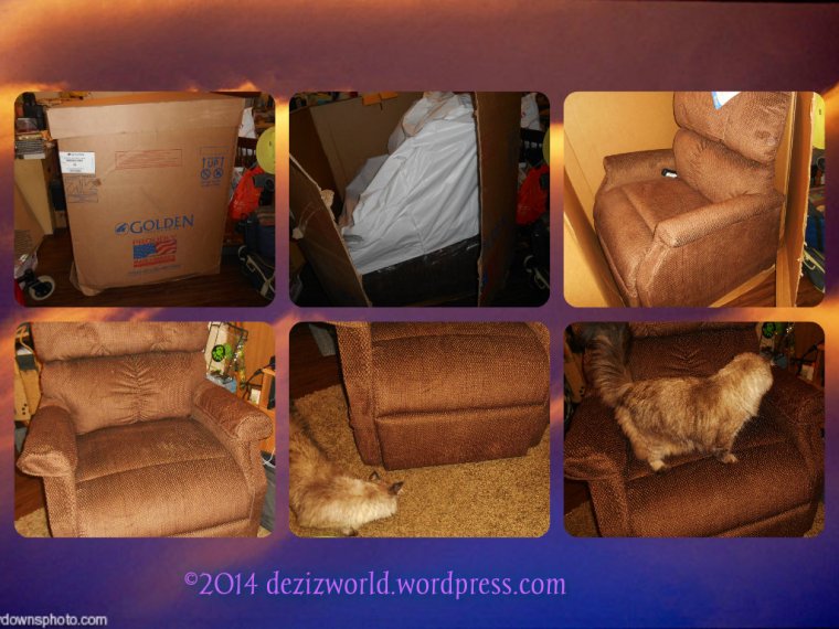 Oh Wow, Lookit what yous all bought fur meez mommy.  Fank yous sooooo much!!!