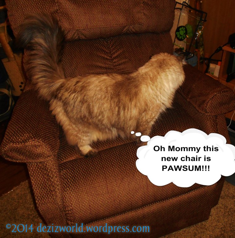 Oh Yeah, Meez luvs this. It's so soft and comfy feelin'. When can we take a nap mommy?