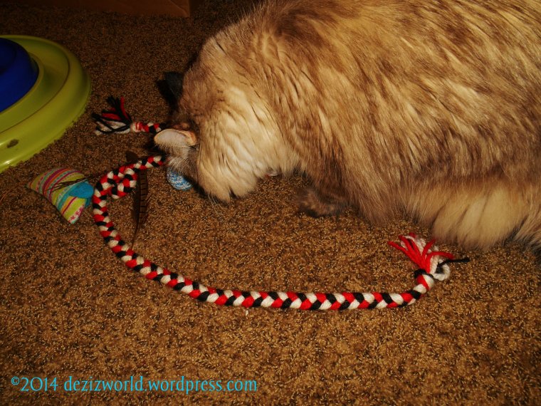 Fank yous Miss Ellen and 15 and Meowing.