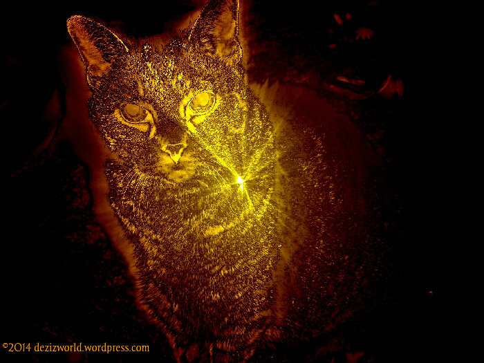 0dw Lexi golden glow