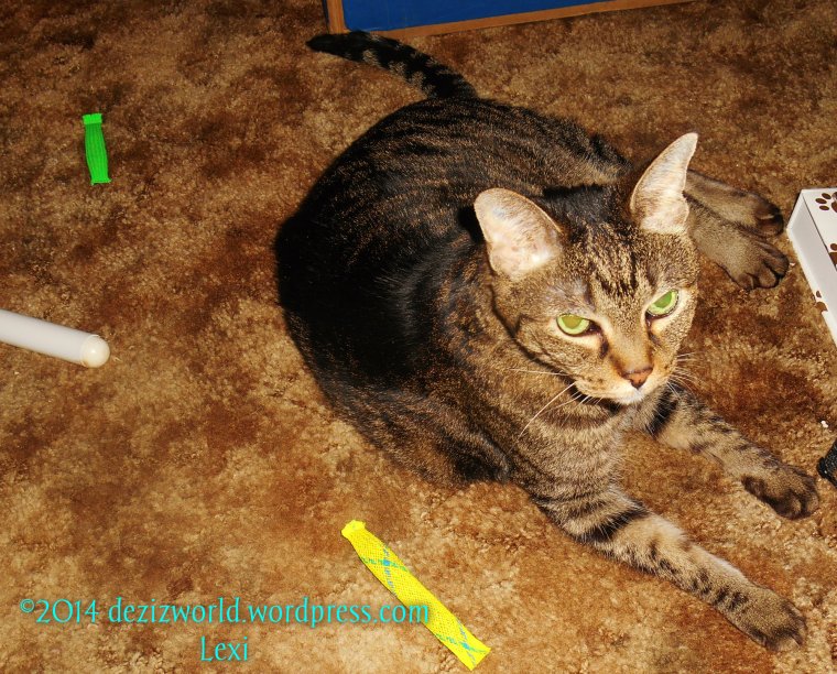 I'z purrayin' fur ya' too Travis and furmily.