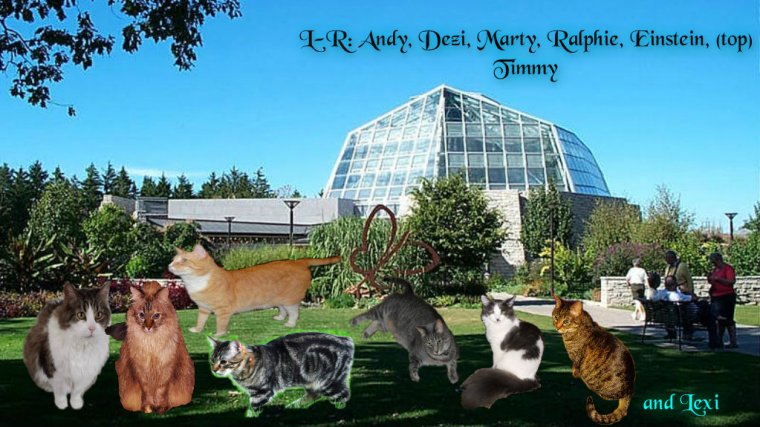 Butterfly cons A,D,M,R,E Y,L