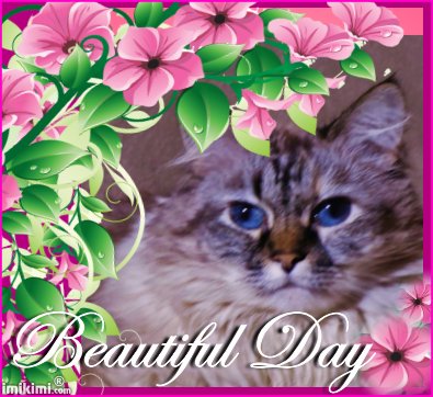 Dezi Beautiful Day - 2HEoW-1aB - normal