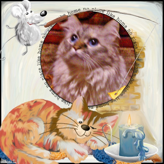 Dezi my cat..... - 2HEoW-1b4 - normal