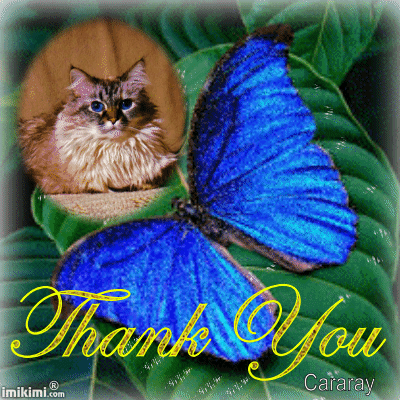 Dezi -Thank You - 2HEoW-1cs - normal