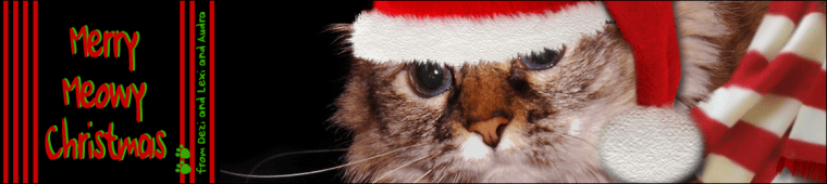 DezizWorld Gift Header Holiday 2014