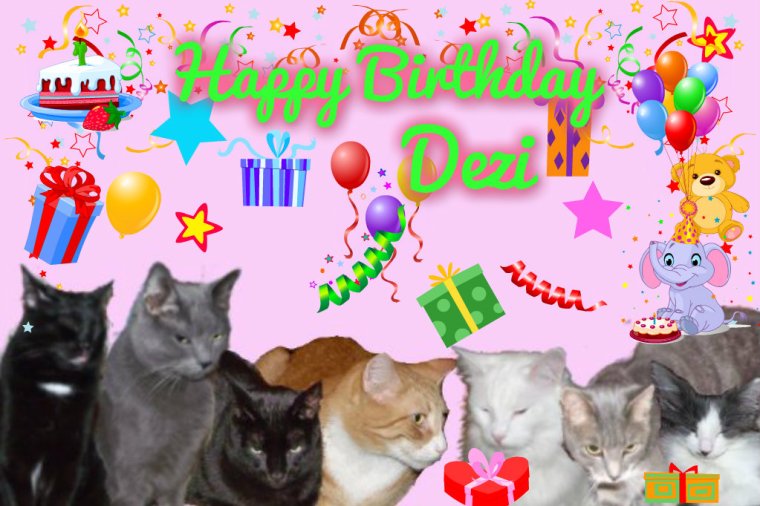 Happy Birthday Dezi