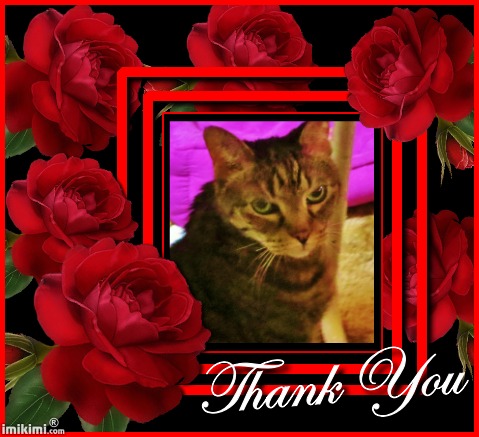 Lexi says Thank You - 2HEoW-1aX - normal