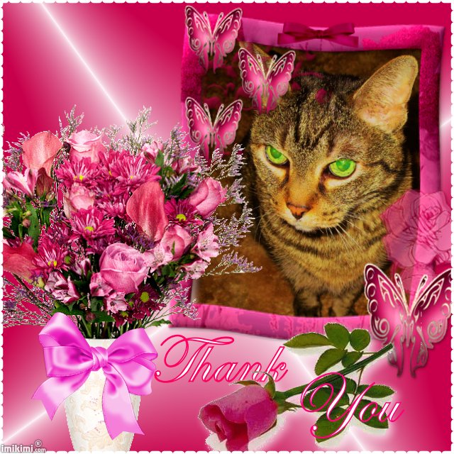 Lexi sez Thank  you - 2HEoW-1aY - normal