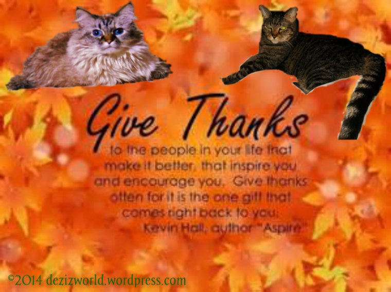 0dw Dezi and Lexi Give Thanks