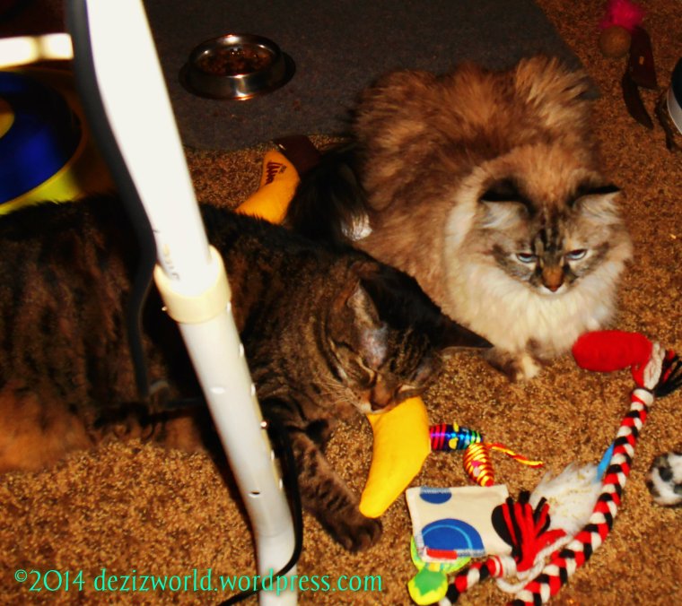 Sis Dezi and me love you all.