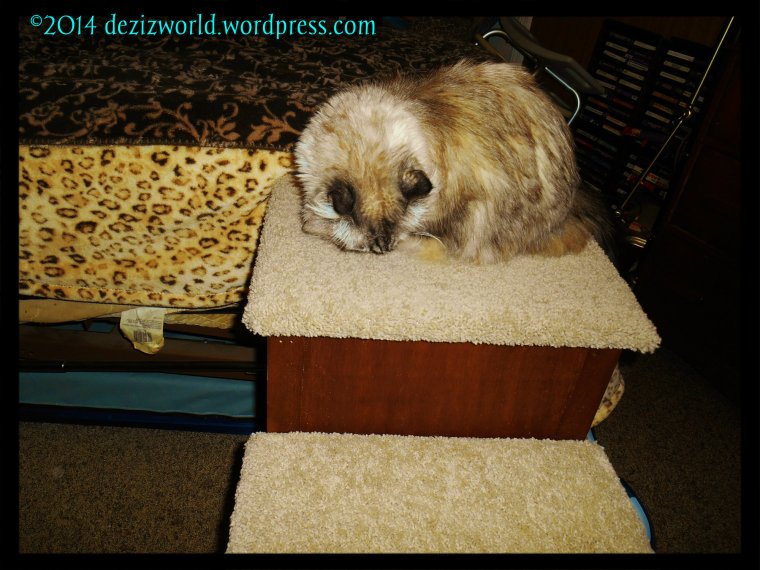 Me luvs sissy's new steps too.