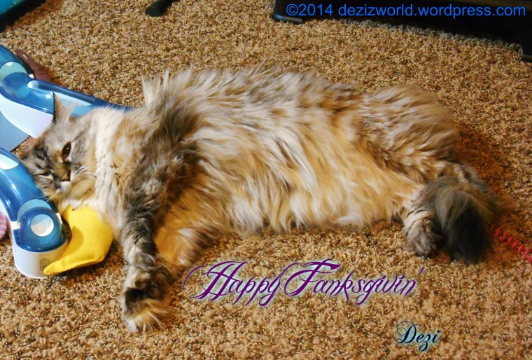 0dw Dezi resting HappyFG