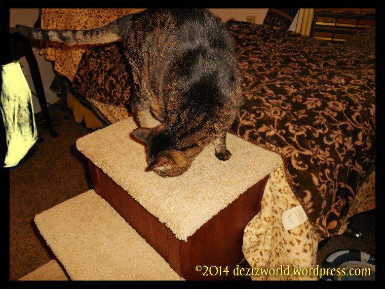 I'z gunna like deez jiz fine. (Lexi)