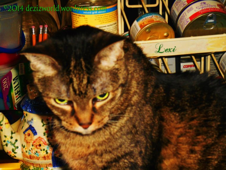 Whatcha' duin' in da strowller Dezi? Itz time fur dinner.