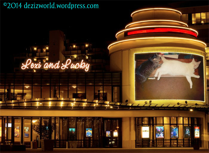 I loved my brofur very much!