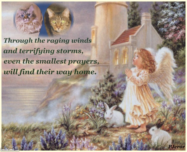 Dezi and Lexi SMALLEST PRAYERS - 2HEoW-1bB - normal