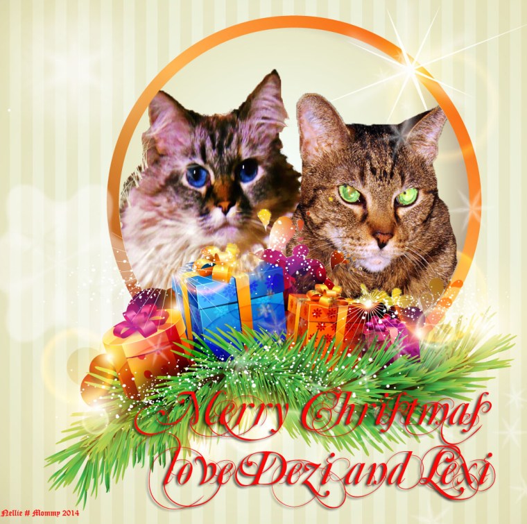 DeziLexiChristmas