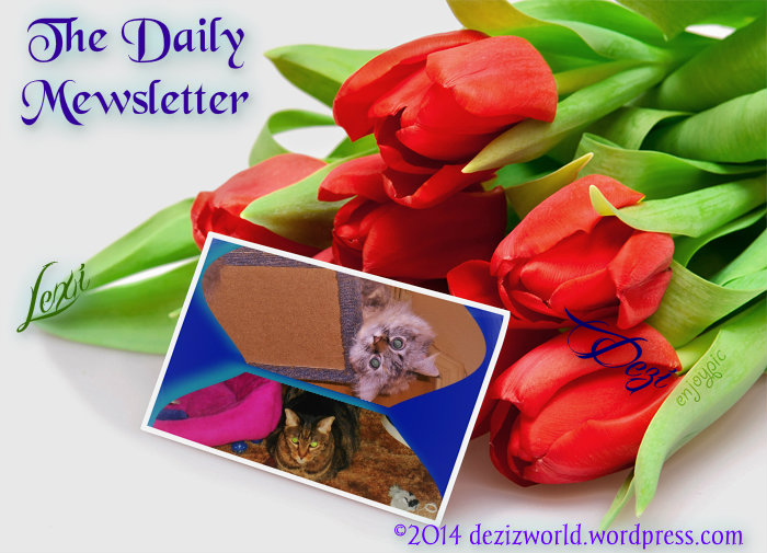dw LnD Daily Mewsletter