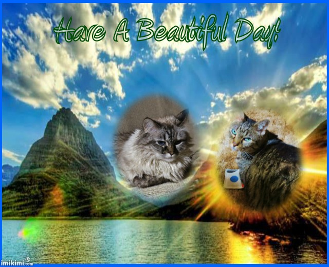 Time fur sum Caturday Art.