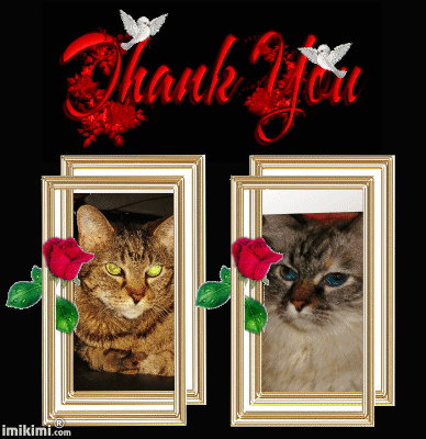 LnD Thank you - 2HEoW-1cM - normal