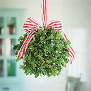mistletoe