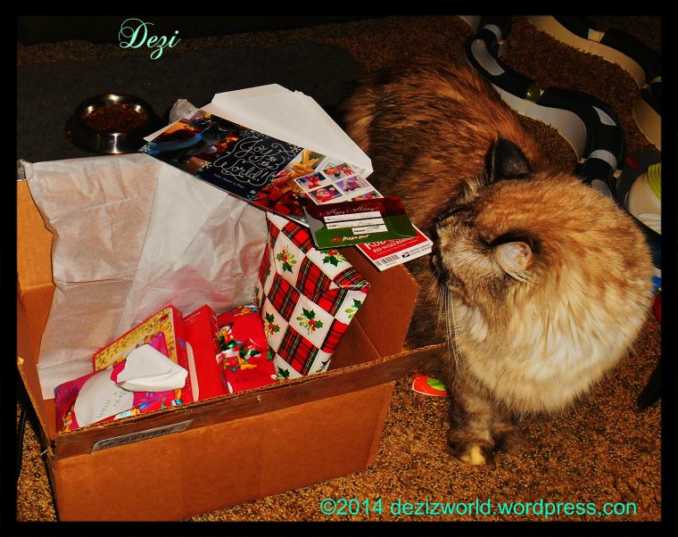 0dw Dezi CS angel box