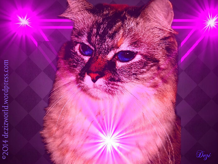 0dw DeziSurreal Chess