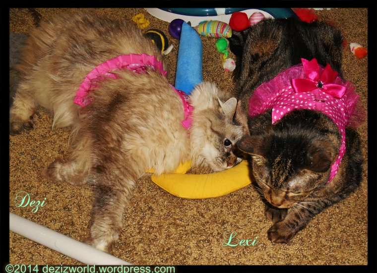 0dw DnL pretty in pink2